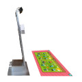 Interactive floor