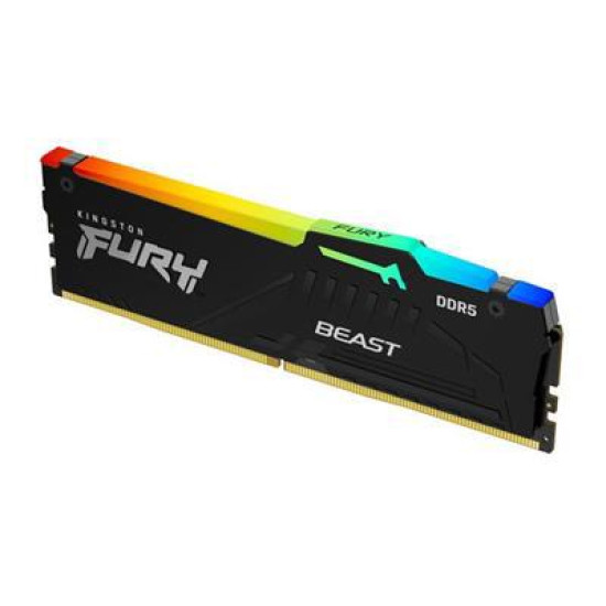 16G DDR5 5600 KING EXPO B RGB