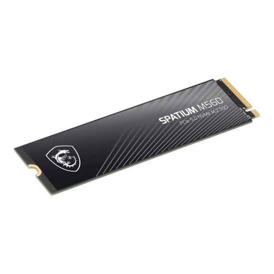 MSI SSD 1TB INT M2_PCI-E_GEN5 2280 NVMe 