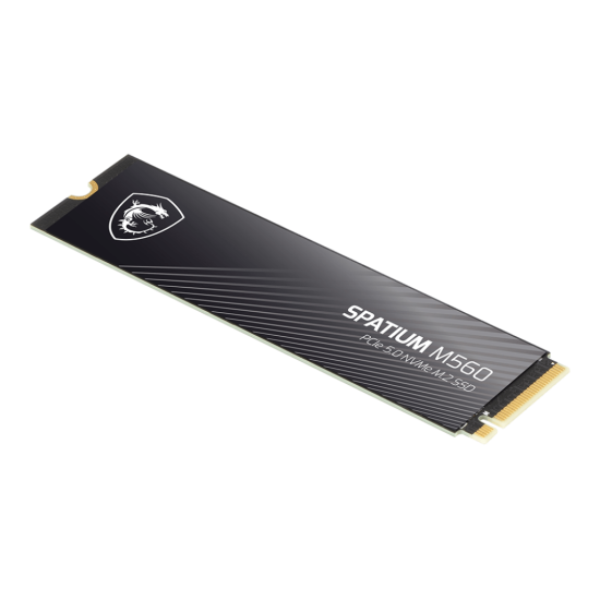 MSI SSD 1TB INT M2_PCI-E_GEN5 2280 NVMe 