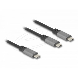 Delock USB-C™ Y-Cable 1 x male to 2 x male PD 3.0 100 W intelligent power distribution 1.2 m