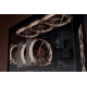 Noctua Вентилатор Fan 120mm NF-A12x25 G2 PWM