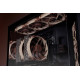 Fan Noctua 120mm NF-A12x25 G2 PWM