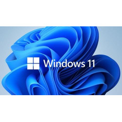 MICROSOFT WINDOWS_11_HOME