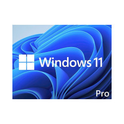 MICROSOFT WINDOWS 11 PRO