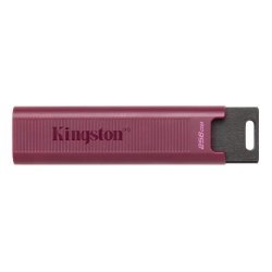 KINGSTON USB3.2 256GB PLASTIC