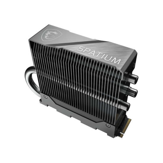 MSI SSD 2TB INT M2_PCI-E_GEN5 2280 NVMe