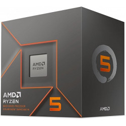 AMD RYZEN 5 AM5 4.1GHZ 6CORES  INTVGA FAN 65W DESKTOP