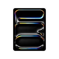 Apple 13-inch iPad Pro (M4) WiFi 256GB with Standard glass - space black