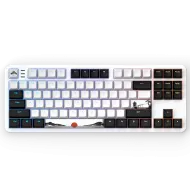 Gaming Mechanical Keyboard Dark Project 87 Fuji V2 RGB TKL - G3MS Sapphire Switches, ABS