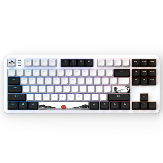 Gaming Mechanical Keyboard Dark Project 87 Fuji V2 RGB TKL - G3MS Sapphire Switches, ABS