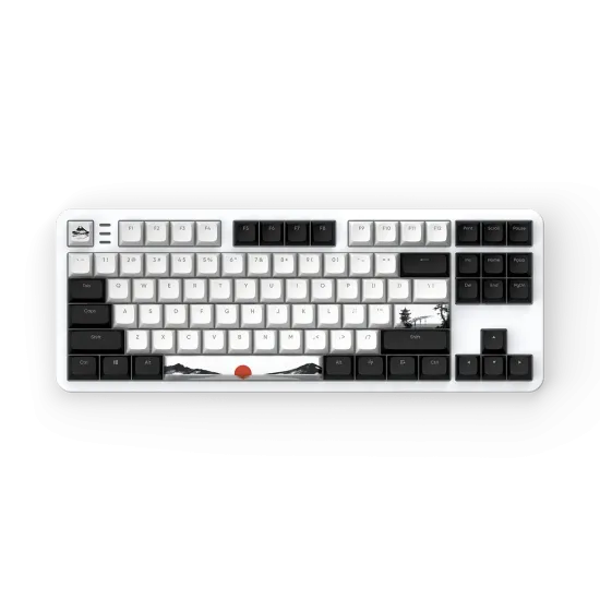 Gaming Mechanical Keyboard Dark Project 87 Fuji V2 RGB TKL - G3MS Sapphire Switches, ABS