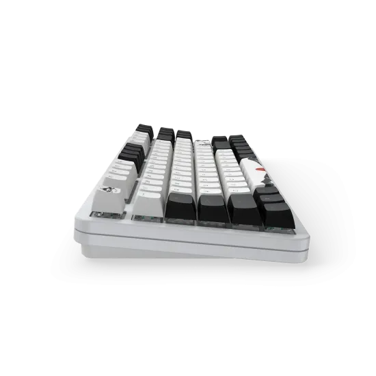 Gaming Mechanical Keyboard Dark Project 87 Fuji V2 RGB TKL - G3MS Sapphire Switches, ABS