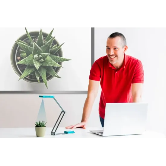 Document camera with portable scanner-visualizer IRIScan VISUALIZER 7 Dislexic, 4K, USB-C