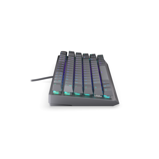 Endorfy mechanical keyboard Thock V2 75%, PBT, Endorfy Red switch, US Layout