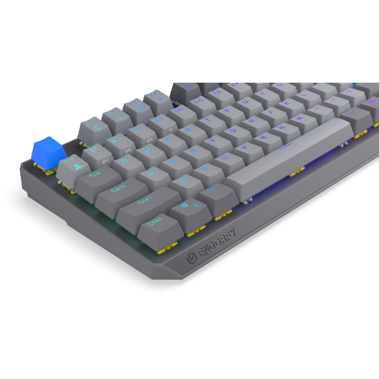 Endorfy mechanical keyboard Thock Wireless V2 TKL, PBT, Endorfy Yellow switch, US Layout