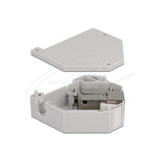 Delock DIN-рейков Адаптер с Keystone Модул RJ45 Cat.6A LSA