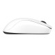 ZOWIE S2-DW 4K Wireless Mouse for Esports, glossy white