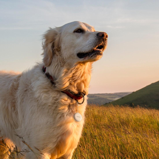 Hama Key Finder, for Android “Find My Device” App, Bluetooth®, white