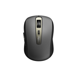 Wireless optical Mouse RAPOO MT350