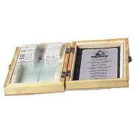 Konus ANIMALS AND PLANTS DAMAGED BY THE POLLUTION (10 SLIDES)