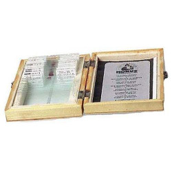 Konus ANIMALS AND PLANTS DAMAGED BY THE POLLUTION (10 SLIDES)