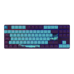 Gaming Mechanical Keyboard Dark Project 87 Night Sky RGB TKL - G3MS Sapphire Switches, ABS