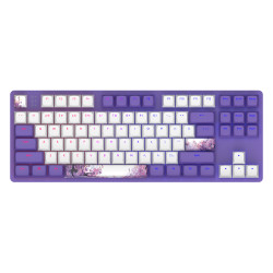 Gaming Mechanical Keyboard Dark Project 87 Violet Horizons RGB TKL - G3MS Sapphire Switches, ABS