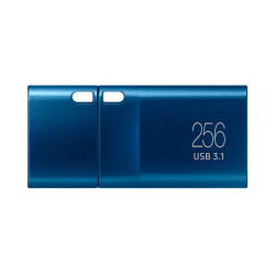 Samsung USB-C Flash drive 3.1 2022, 256GB, Blue