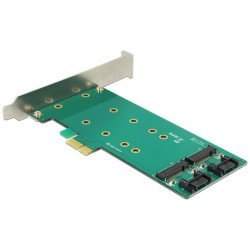 Delock PCI Express x1 Card > 2 x internal M.2 Key B 110 mm