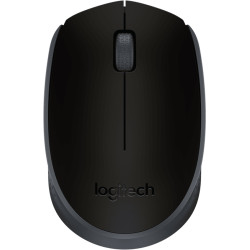 Wireless optical mouse LOGITECH M171, Black, USB