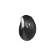 Wireless Ergonomic Mouse RAPOO EV250