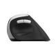 Wireless Ergonomic Mouse RAPOO EV250