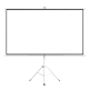 Екран на стойка ESTILLO, 240 x 180, 4:3, Бял за проектор