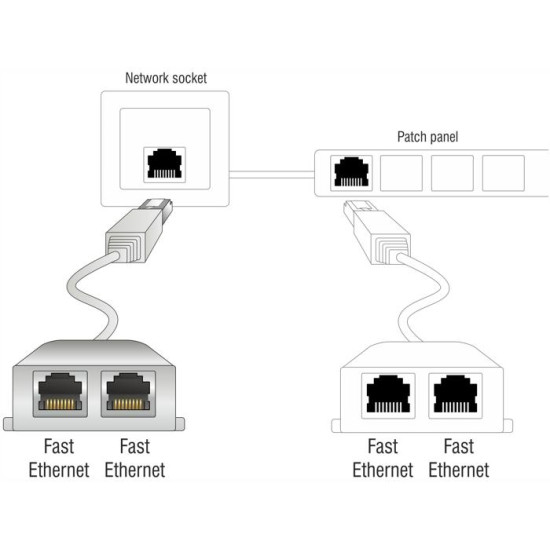 Delock RJ45 Port Doubler 1 x RJ45 plug to 2 x RJ45 jack (2 x Ethernet)