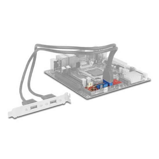 Delock Converter M.2 Key B+M male to 2 x USB 5 Gbps Pin Header