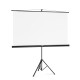 Hama Screen with tripod, 180 x 180 cm, 2-in-1, mobile set, 21573
