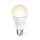 Hama Smart WLAN LED Lamp, E27, Matter, 9W, RGBW, 176640