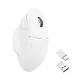 Wireless Mouse Keychron M7 1000Hz, Matte White