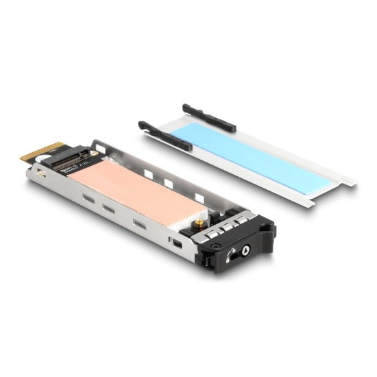 Delock Mobile Rack PCI Express Card for 1 x M.2 NVMe SSD - Low Profile Form Factor