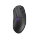 Gaming Wireless Mouse Dark Project Novus Pro - Blackberry 8K
