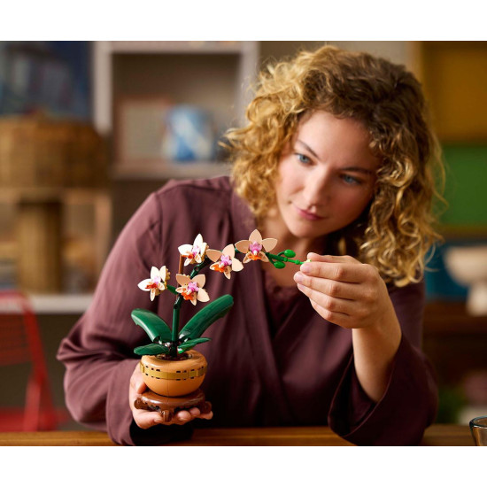 LEGO  Botanicals - Mini-Orchidee, 10343