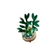 LEGO Botanicals - Lucky Bamboo, 10344