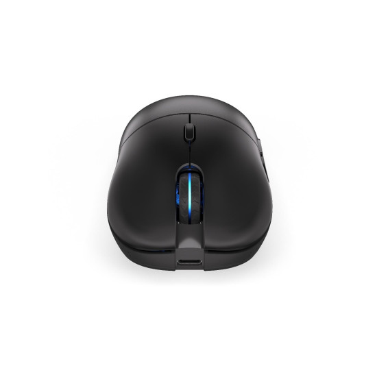 Gaming Mouse ENDORFY Gem Plus Wireless