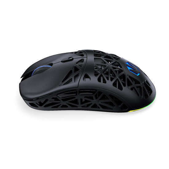 Gaming Mouse ENDORFY LIV Plus Wireless