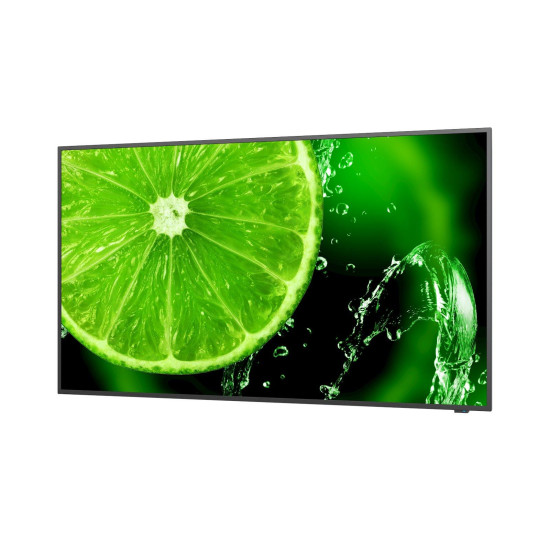 Large Format Display NEC MultiSync E498, 49