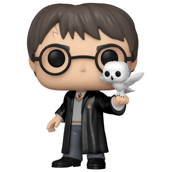 Funko Pop!& Buddy Figure: Harry Potter - Harry Potter with Hedwig (Special Edition) #197