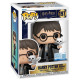 Funko Pop!& Buddy Figure: Harry Potter - Harry Potter with Hedwig (Special Edition) #197
