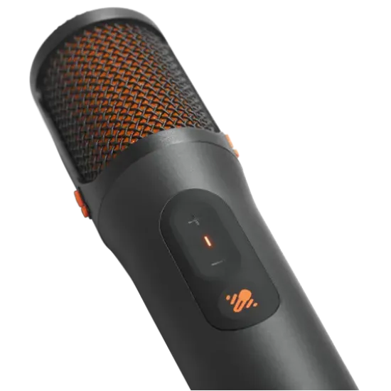 JBL Wireless Mics Set EasySing