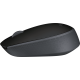 Wireless optical mouse LOGITECH M171, Black, USB